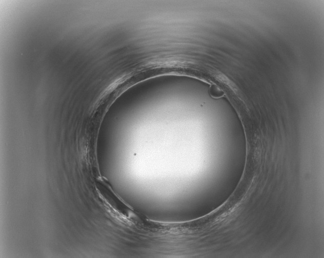 X0000060790922200511141439