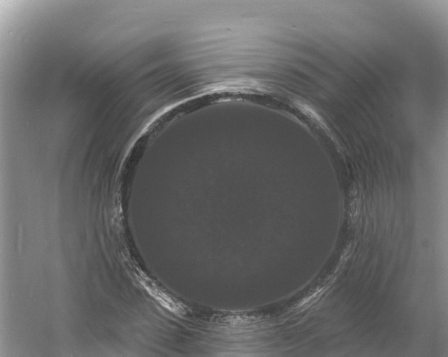 X0000060790923200511141439