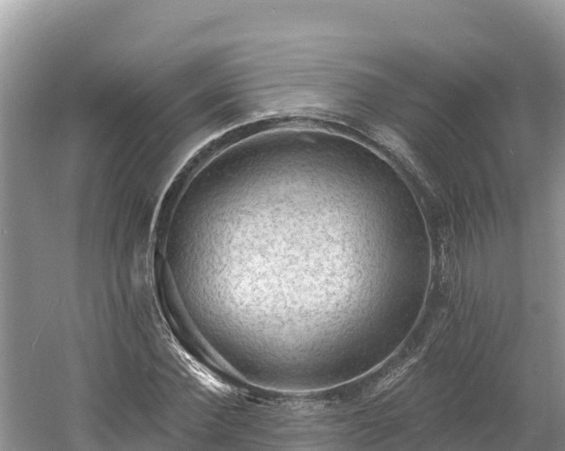 X0000060790924200511141439