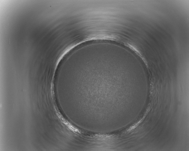 X0000060790928200511141439