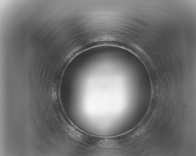 X0000060790929200511141439