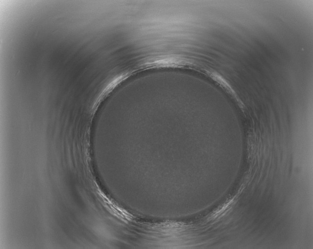 X0000060790930200511141440