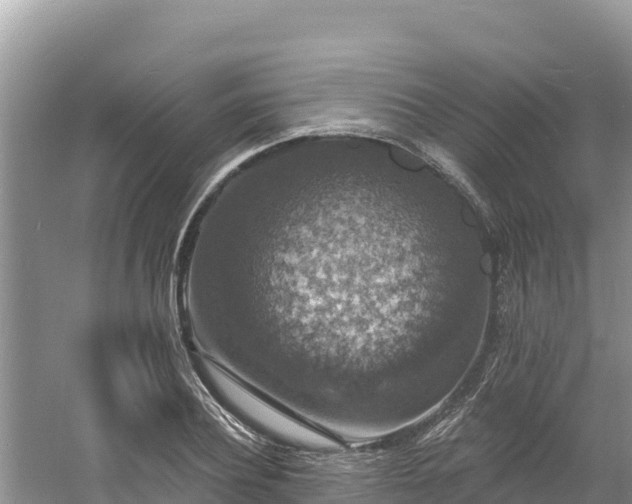 X0000060790932200511141440