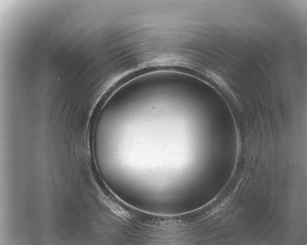 X0000060790934200511141440