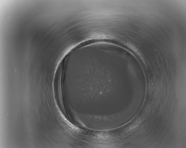 X0000060790935200511141440