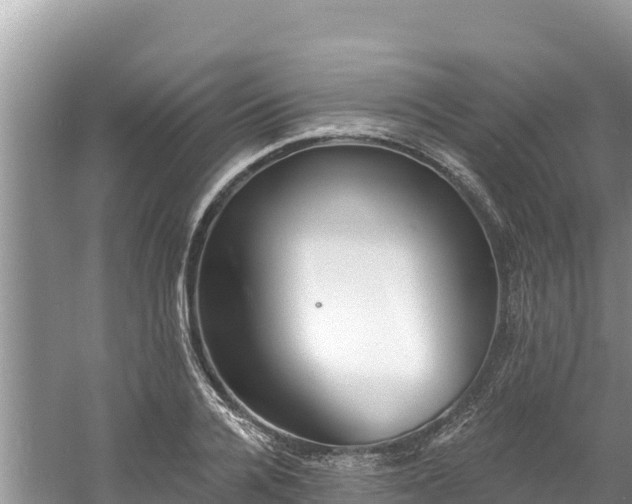 X0000060790936200511141440