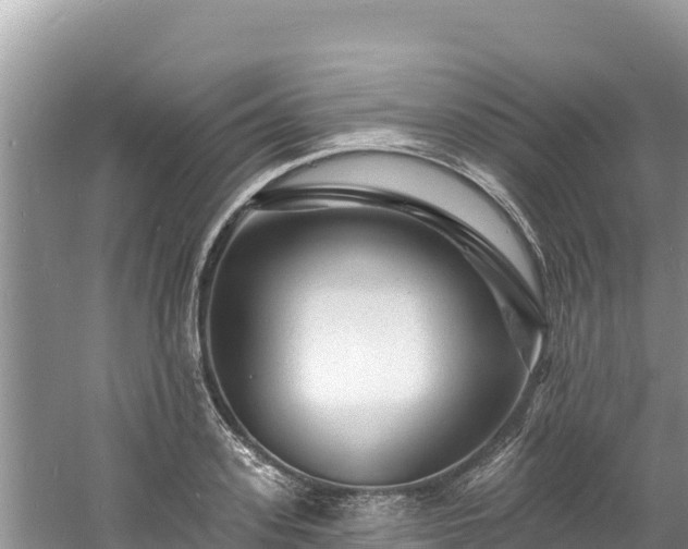 X0000060790939200511141440