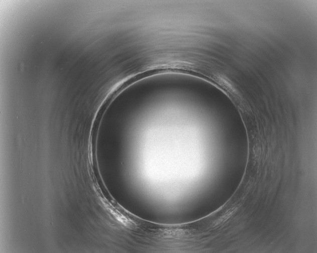 X0000060790940200511141440