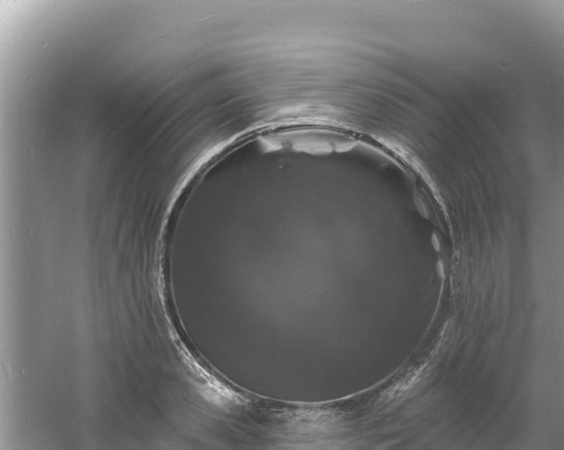 X0000060790941200511141440