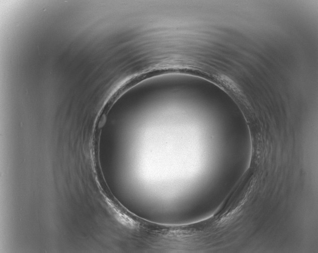 X0000060790942200511141440