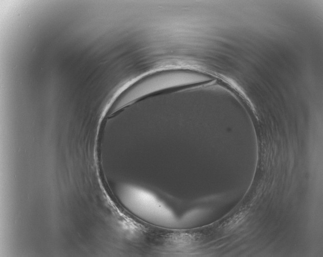 X0000060790943200511141440