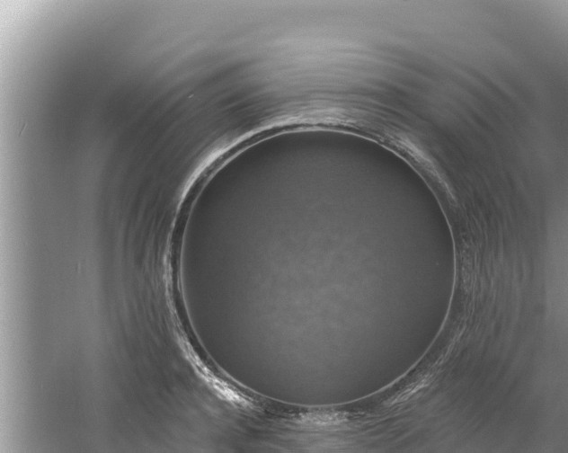 X0000060790944200511141440