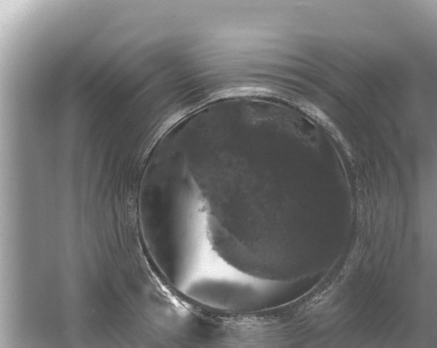 X0000060790945200511141440