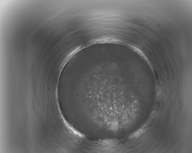 X0000060790946200511141440