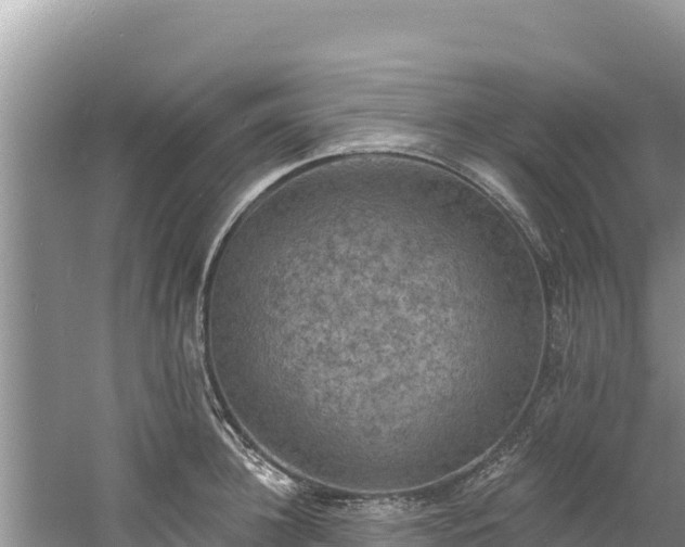 X0000060790948200511141440