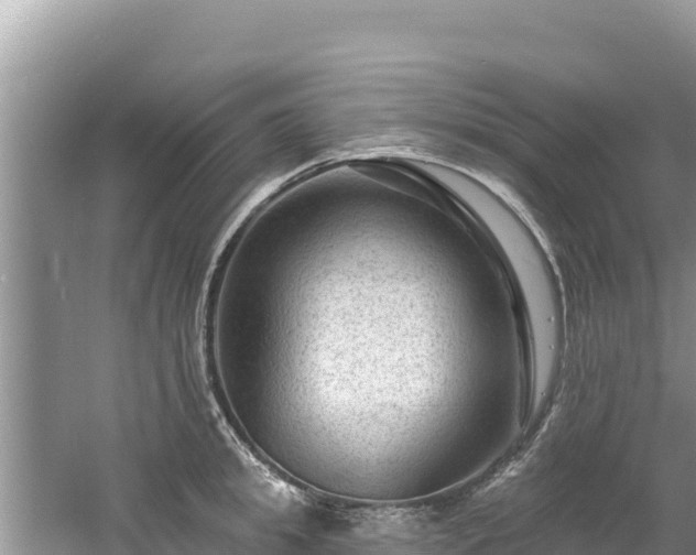 X0000060790949200511141440