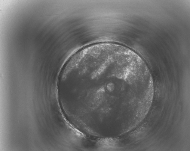 X0000060790950200511141440