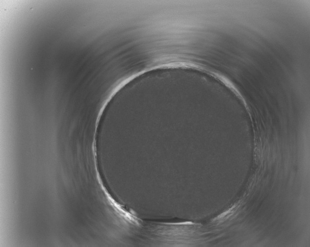 X0000060790951200511141440