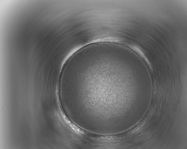 X0000060790952200511141440