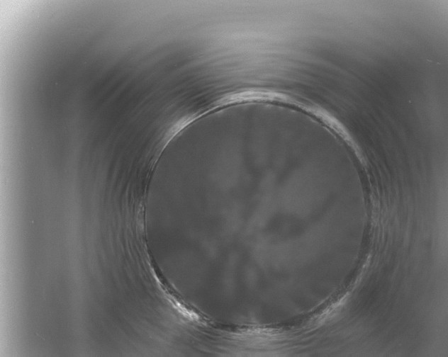 X0000060790953200511141440