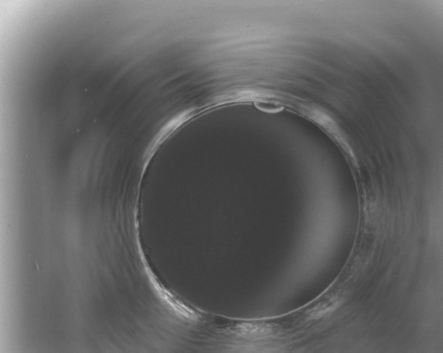 X0000060790954200511141440