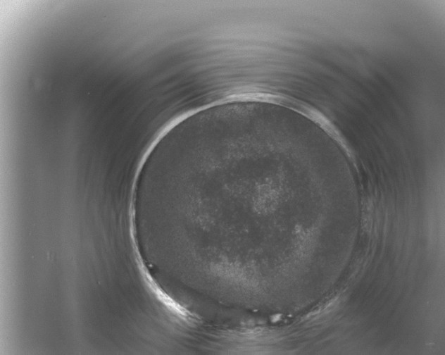 X0000060790955200511141440