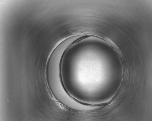 X0000060790956200511141440