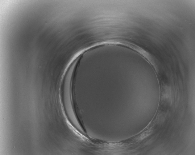 X0000060790958200511141440