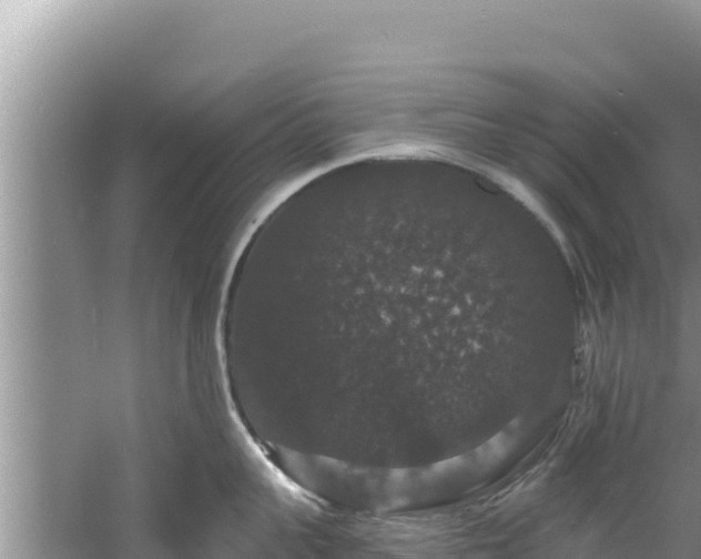 X0000060790959200511141440