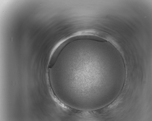 X0000060790960200511141440