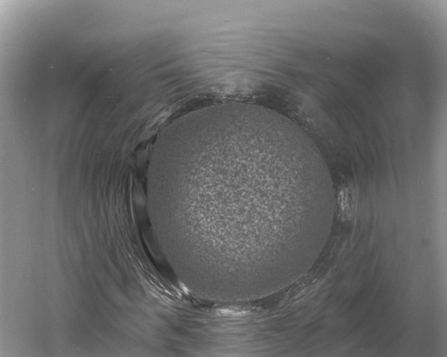 X0000060790963200511141439