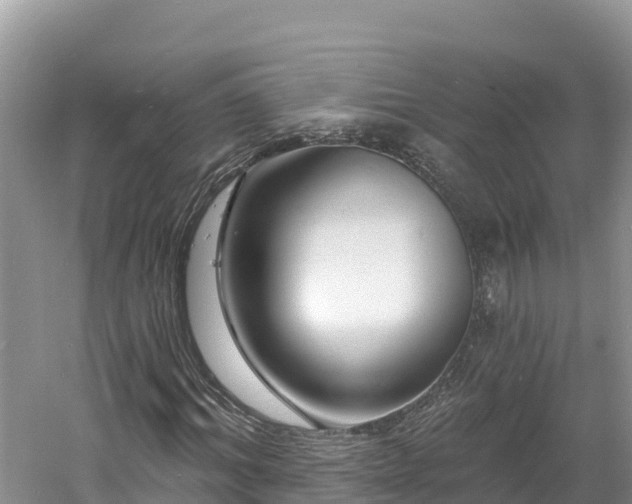 X0000060790964200511141439