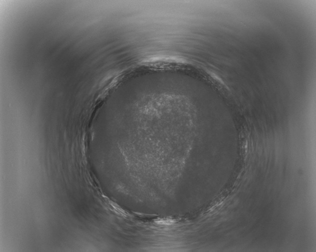 X0000060790965200511141439