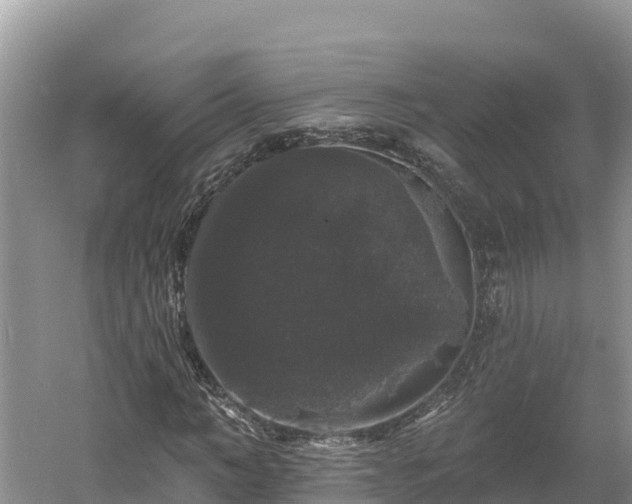 X0000060790966200511141439