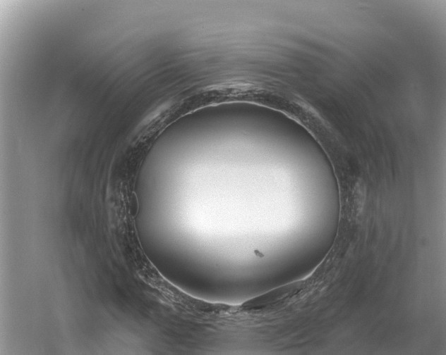 X0000060790967200511141439