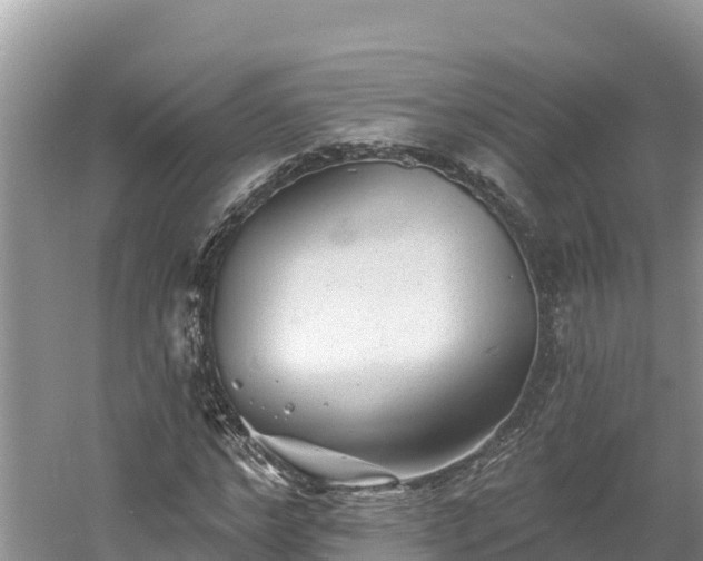 X0000060790968200511141439