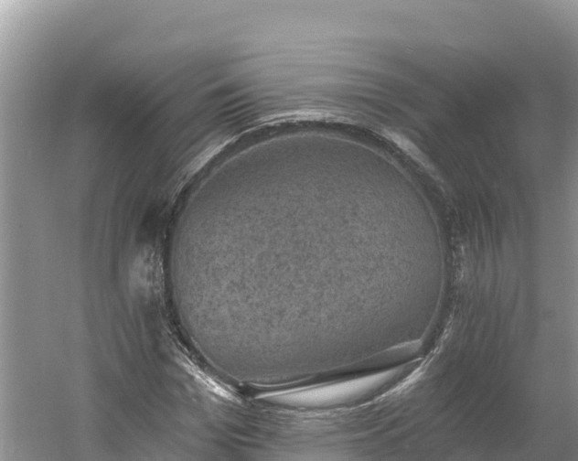 X0000060790969200511141439