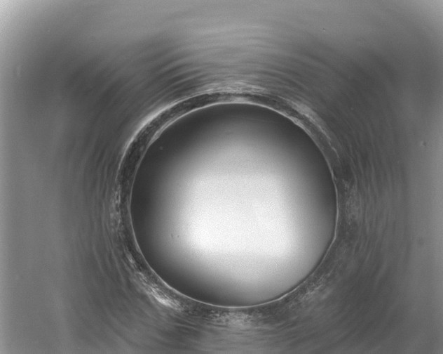 X0000060790971200511141439