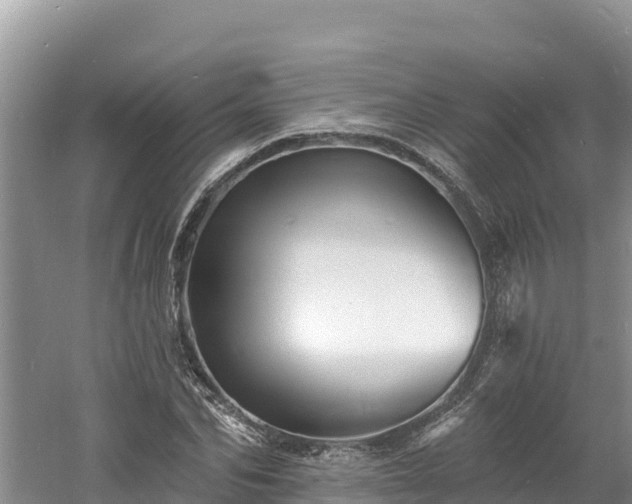 X0000060790974200511141439