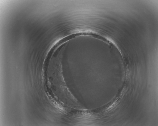 X0000060790975200511141439