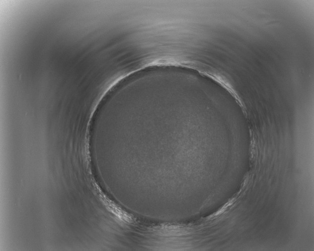 X0000060790976200511141439