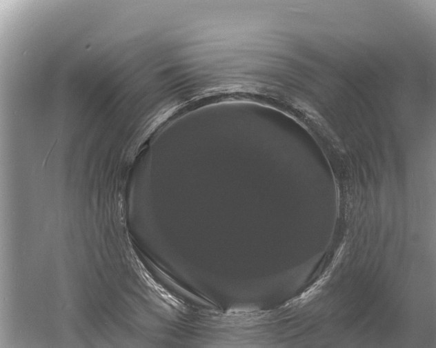 X0000060790977200511141439