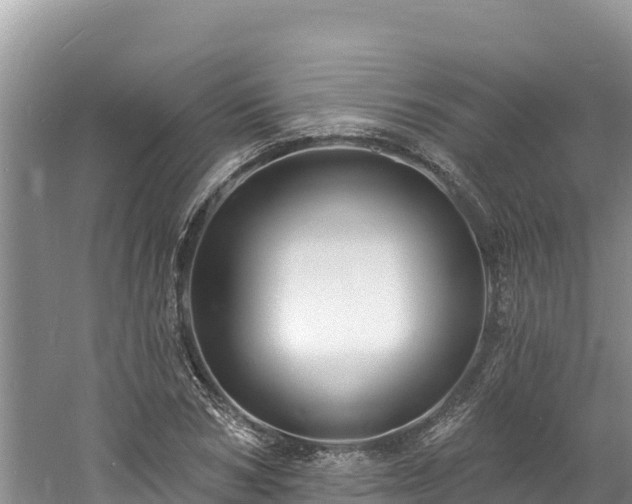 X0000060790978200511141439