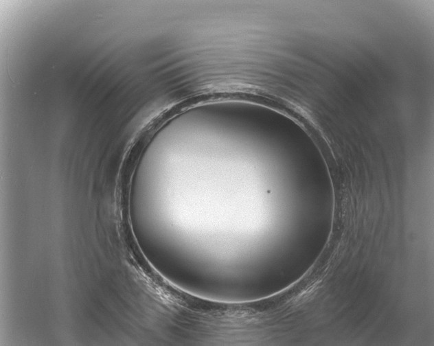 X0000060790979200511141439