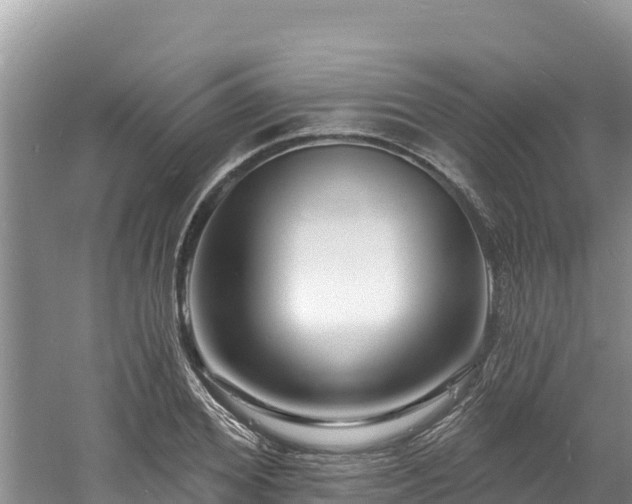 X0000060790980200511141439