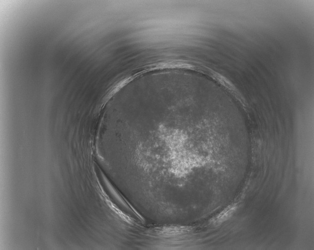 X0000060790985200511141439