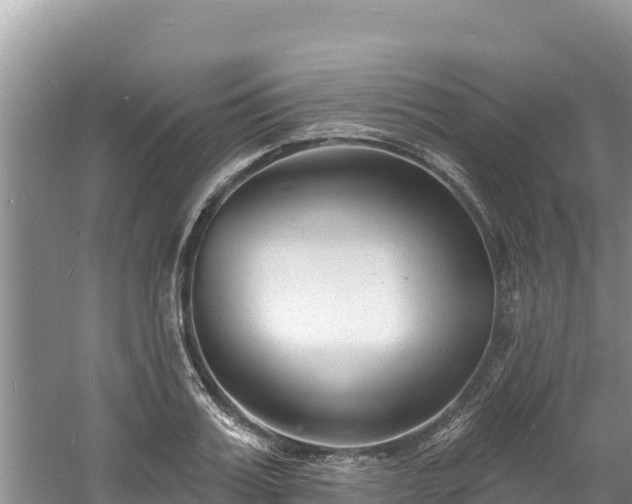 X0000060790987200511141439