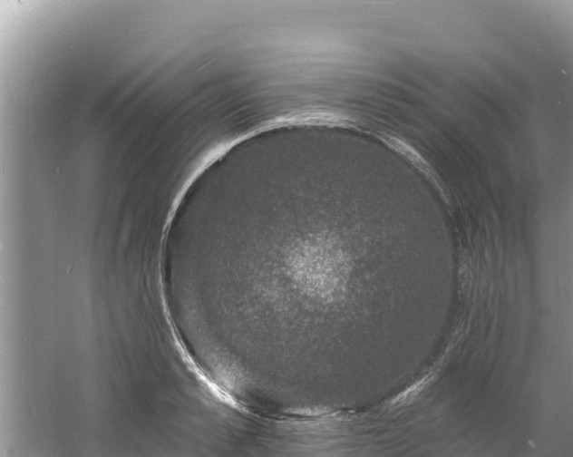 X0000060790989200511141439