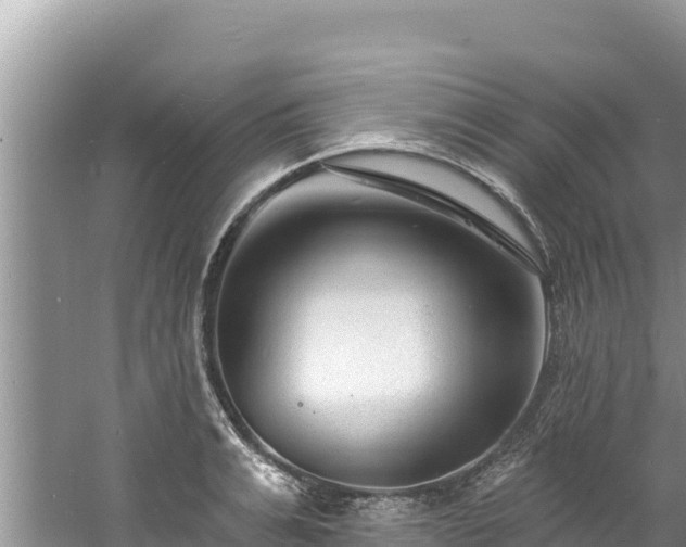 X0000060790991200511141439