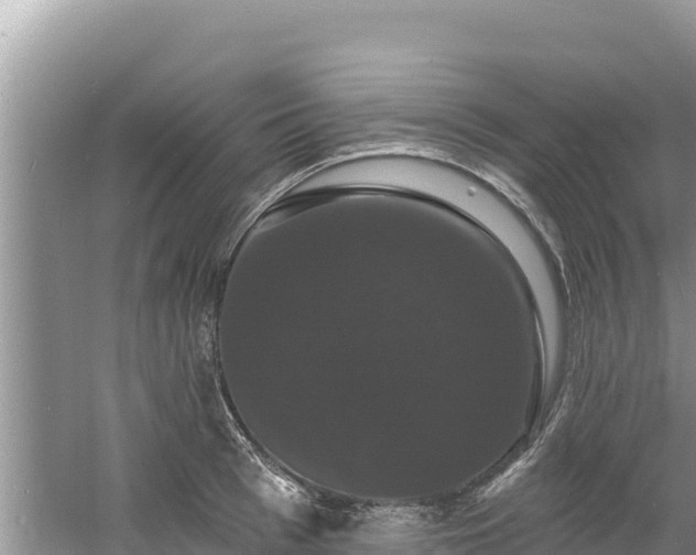 X0000060790993200511141439